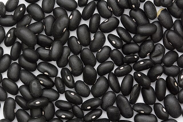 uncooked, dry black turtle beans